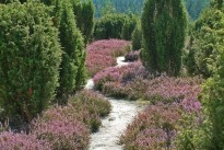 Bequem durch die Lüneburger Heide