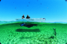 Baird Bay