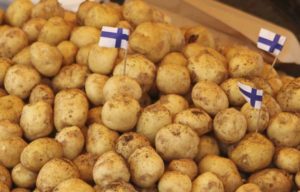 Die Finnland-Entscheidung
