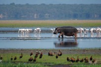 Reisehinweise Südafrika Reisehinweise Südafrika