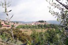 IMG_6536_ip