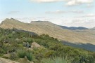 IP20090624003