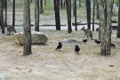 IP201008033019