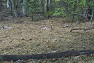 IP201008033023