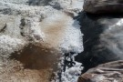 P1090319_ip