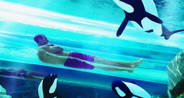 Tickets für SeaWorld Orlando per Post Tickets für SeaWorld Orlando per Post