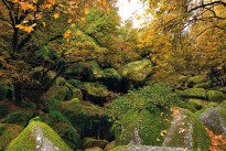 100 Tonnen Granit mit dem kleinen Finger ohne Druiden-Zaubertrank bewegen