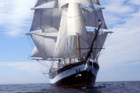Auf den Spuren des Polarforschers Ernest Henry Shackleton in die Antarktis Auf den Spuren des Polarforschers Ernest Henry Shackleton in die Antarktis