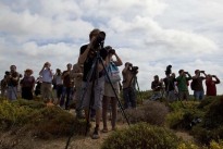 Bird Watching-Festival bei Sagres in Portugal