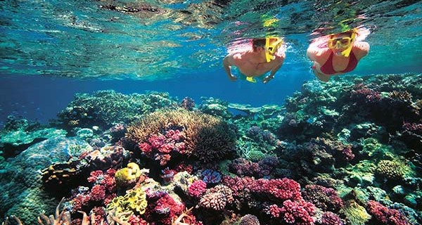 Great Barrier Reef: Das Laichen der Korallen ist ein Naturschauspiel Great Barrier Reef: Das Laichen der Korallen ist ein Naturschauspiel