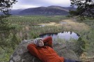 2013 ist das “Jahr der Natur Schottlands” 2013 ist das “Jahr der Natur Schottlands”