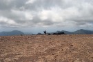 Tipps für den Jahreswechsel auf Gran Canaria Tipps für den Jahreswechsel auf Gran Canaria