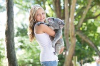 Frühstück mit Koalas und anderen Kuscheltieren Frühstück mit Koalas und anderen Kuscheltieren