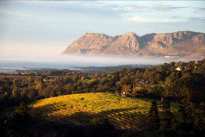 Franschhoek Wine Valley erweitert seine Cap Classique Route Franschhoek Wine Valley erweitert seine Cap Classique Route