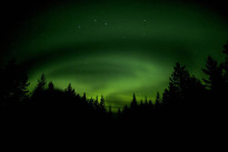 Scandic Ferrum in Kiruna – bei Nordlicht Handy-Alarm
