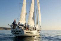 Mit „Kangaroo Island Sailing“ luxuriöse Segeltörns genießen Mit „Kangaroo Island Sailing“ luxuriöse Segeltörns genießen